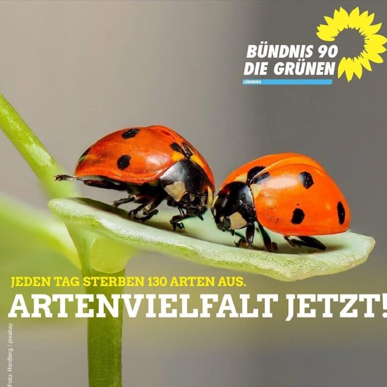 Jeden Tag sterben 130 Arten aus.